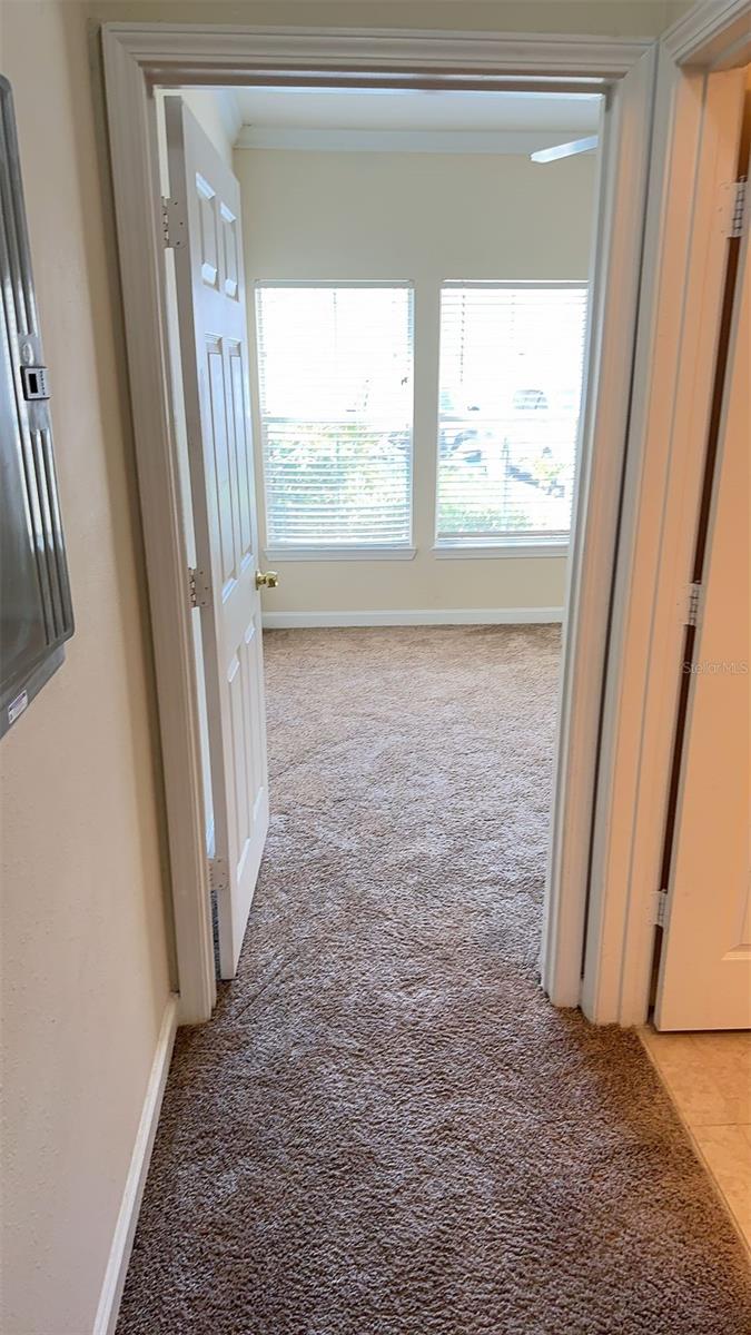18455 BRIDLE CLUB DR #18455, TAMPA, FL, 33647