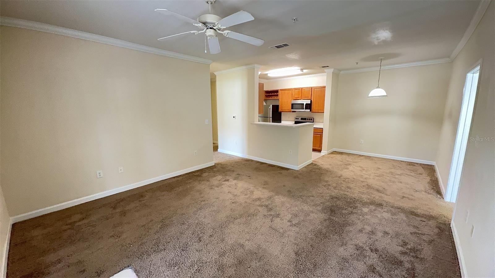 18455 BRIDLE CLUB DR #18455, TAMPA, FL, 33647
