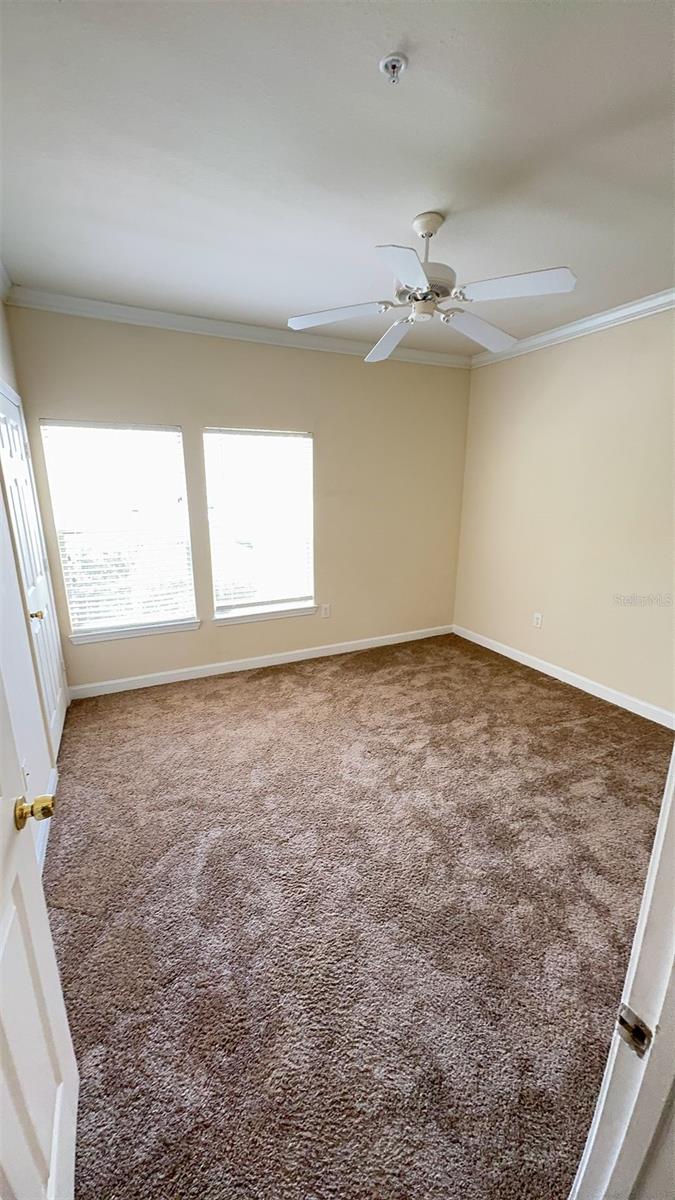18455 BRIDLE CLUB DR #18455, TAMPA, FL, 33647