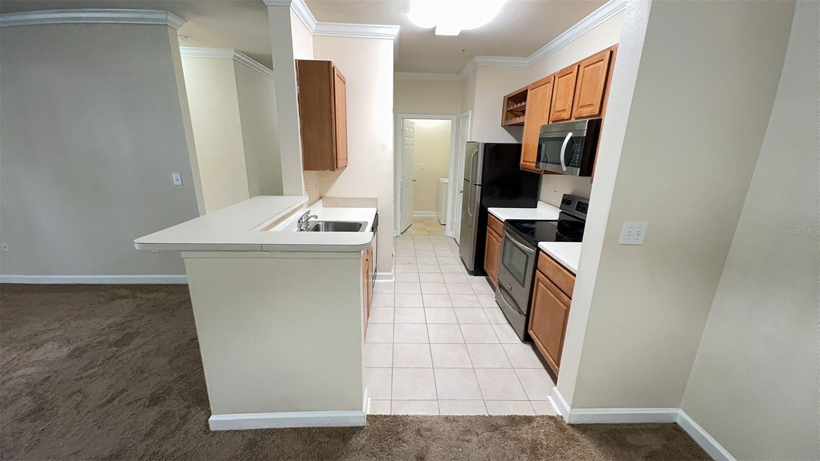 18455 BRIDLE CLUB DR #18455, TAMPA, FL, 33647