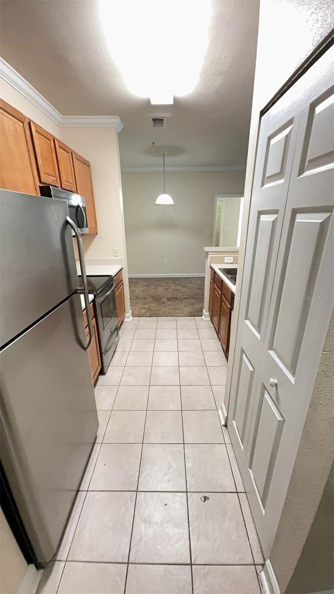 18455 BRIDLE CLUB DR #18455, TAMPA, FL, 33647