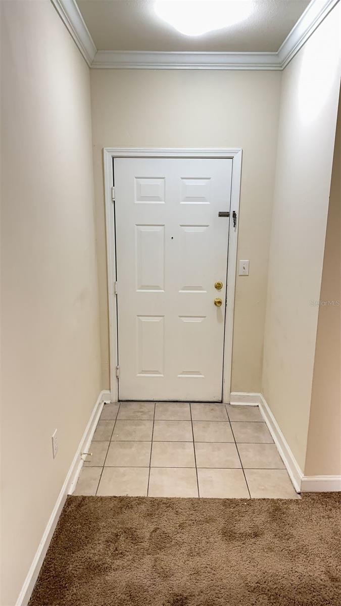 18455 BRIDLE CLUB DR #18455, TAMPA, FL, 33647
