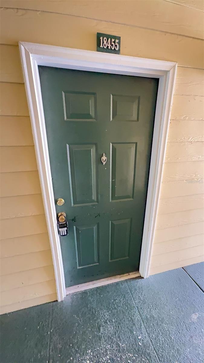 18455 BRIDLE CLUB DR #18455, TAMPA, FL, 33647