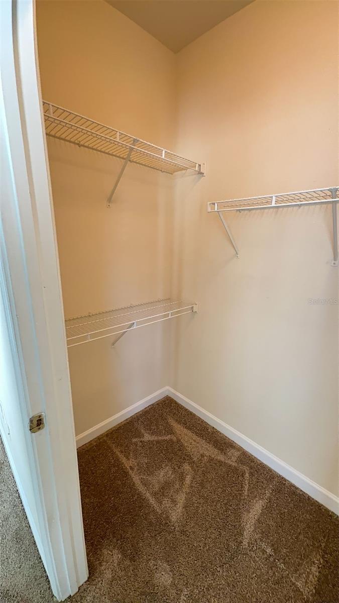 18455 BRIDLE CLUB DR #18455, TAMPA, FL, 33647