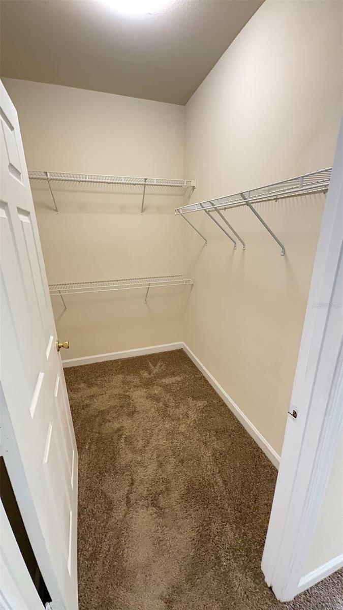 18455 BRIDLE CLUB DR #18455, TAMPA, FL, 33647