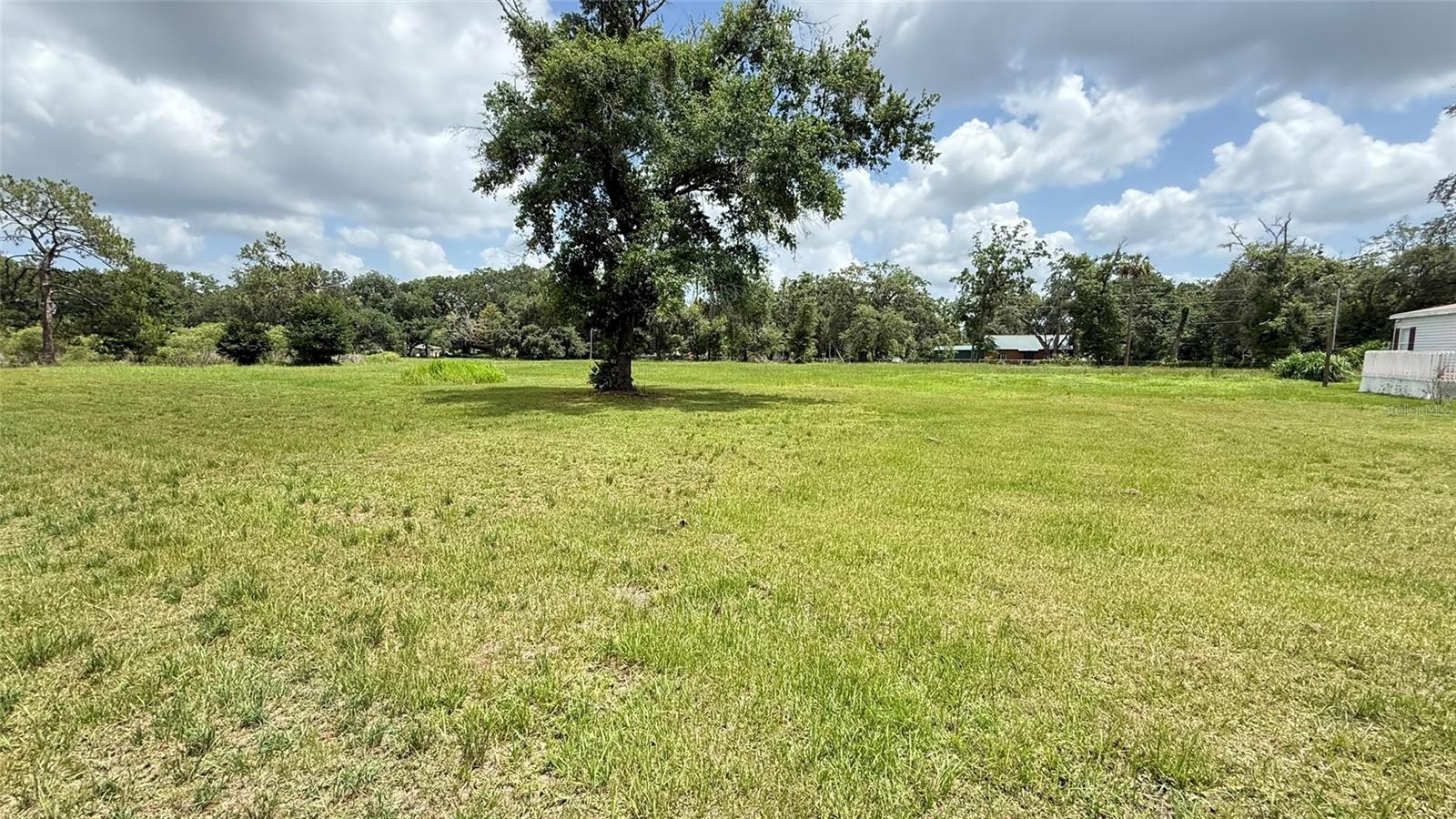 29956 NEW DUTCH LN, WESLEY CHAPEL, FL, 33545