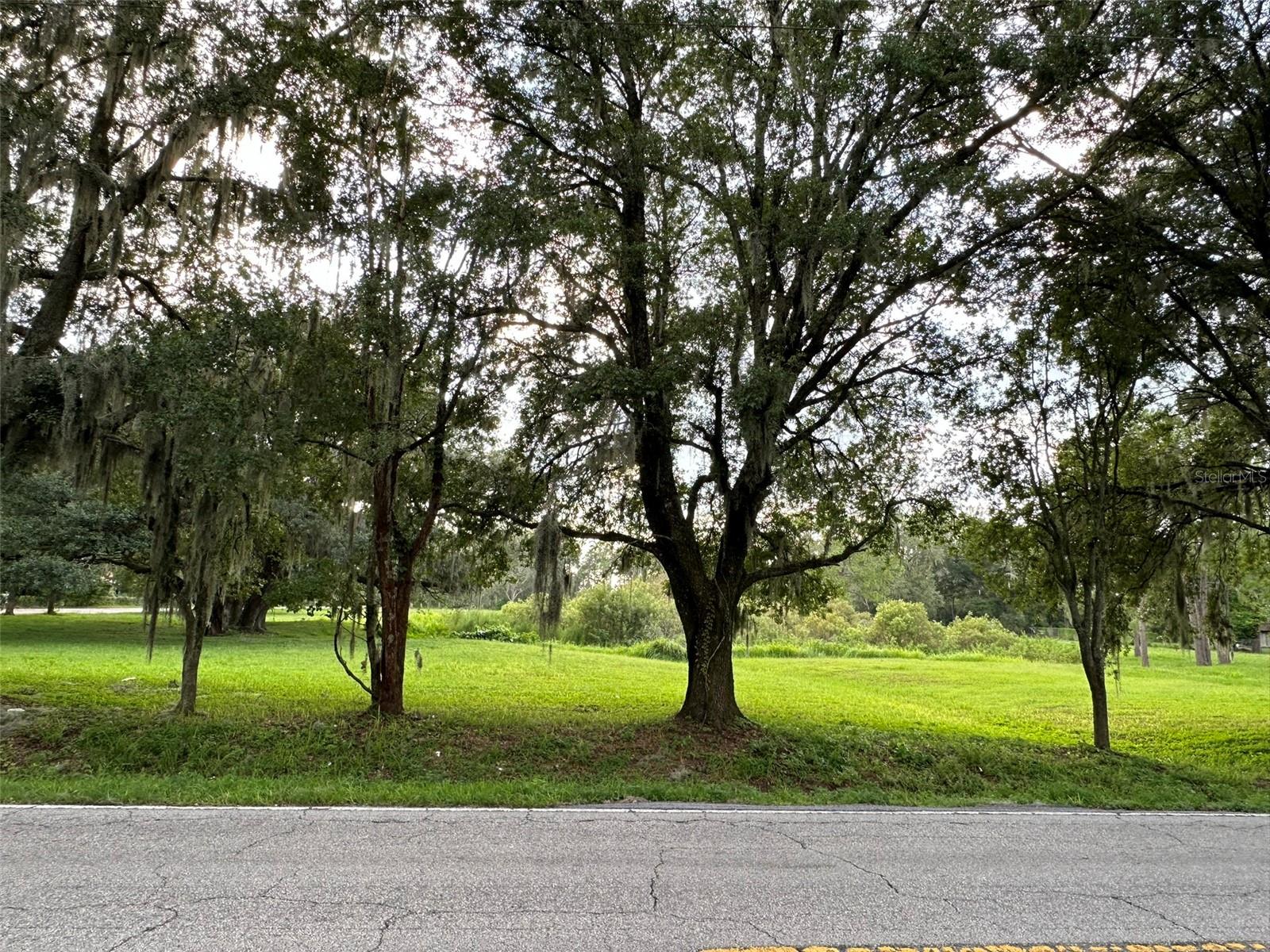 29956 NEW DUTCH LN, WESLEY CHAPEL, FL, 33545