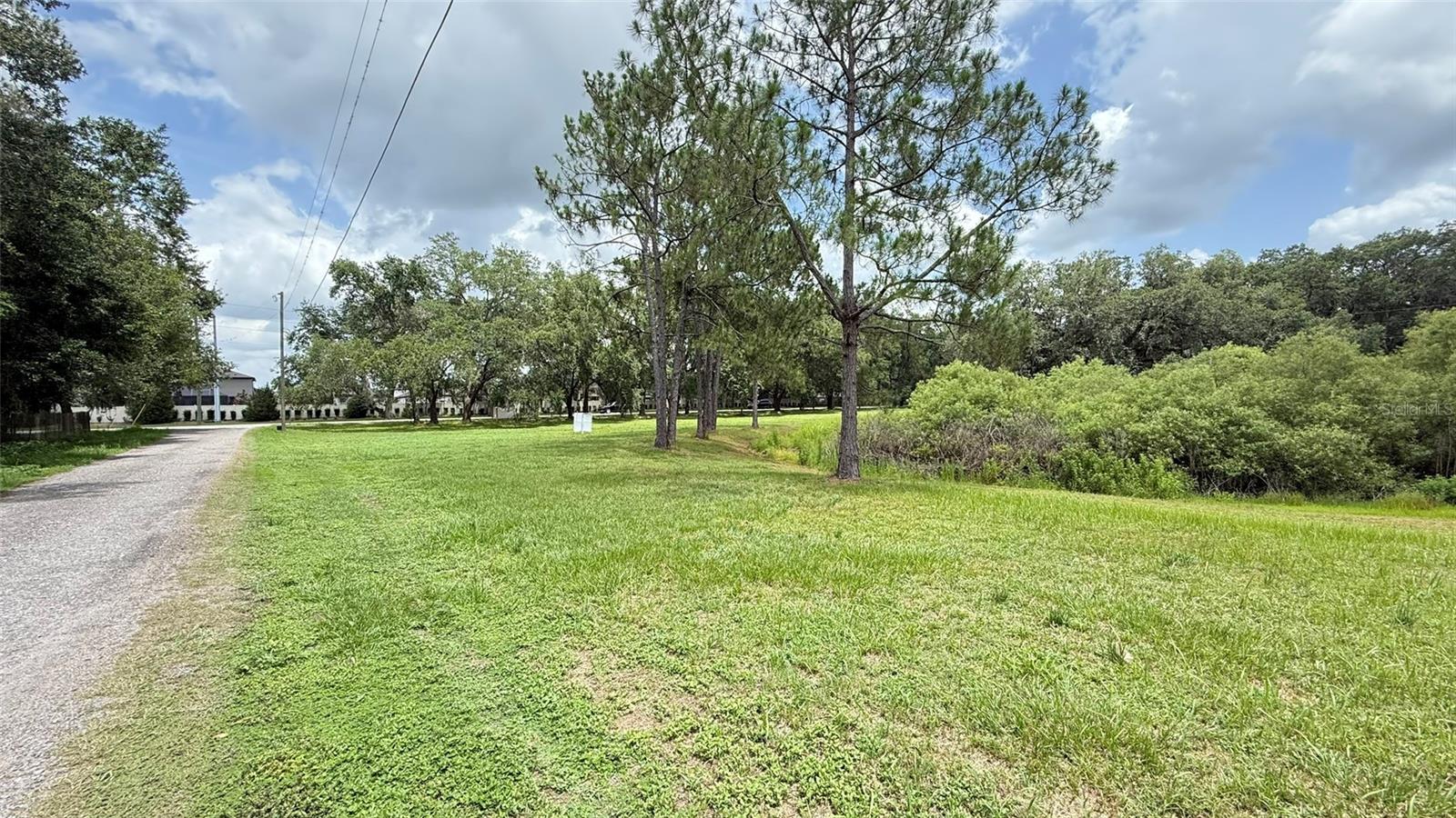 29956 NEW DUTCH LN, WESLEY CHAPEL, FL, 33545