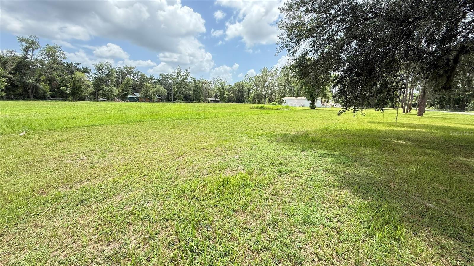 29956 NEW DUTCH LN, WESLEY CHAPEL, FL, 33545