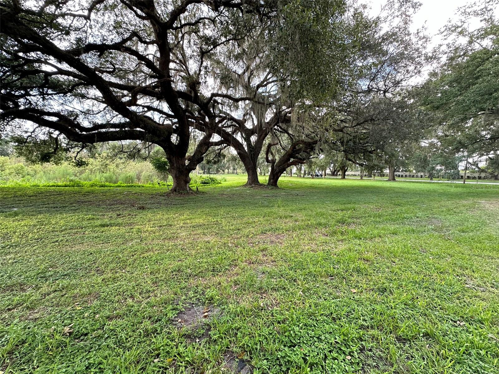 29956 NEW DUTCH LN, WESLEY CHAPEL, FL, 33545
