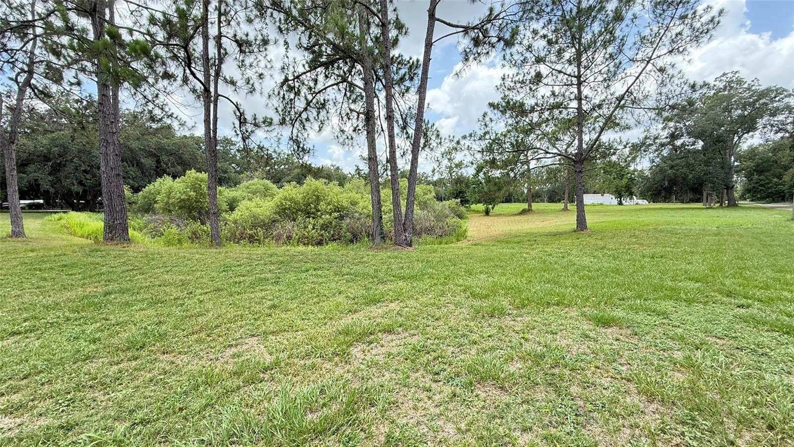 29956 NEW DUTCH LN, WESLEY CHAPEL, FL, 33545