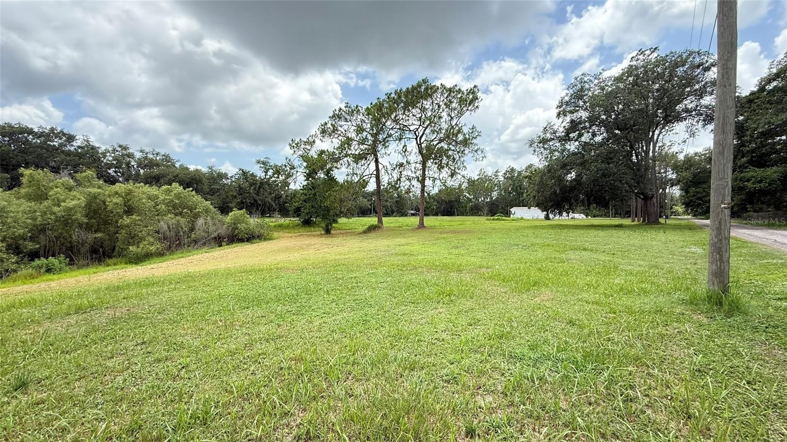29956 NEW DUTCH LN, WESLEY CHAPEL, FL, 33545