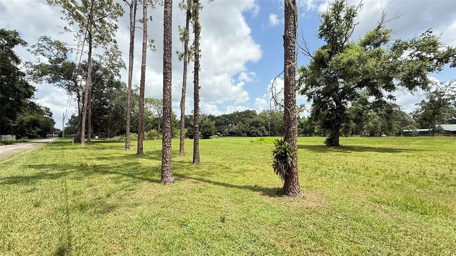 29956 NEW DUTCH LN, WESLEY CHAPEL, FL, 33545