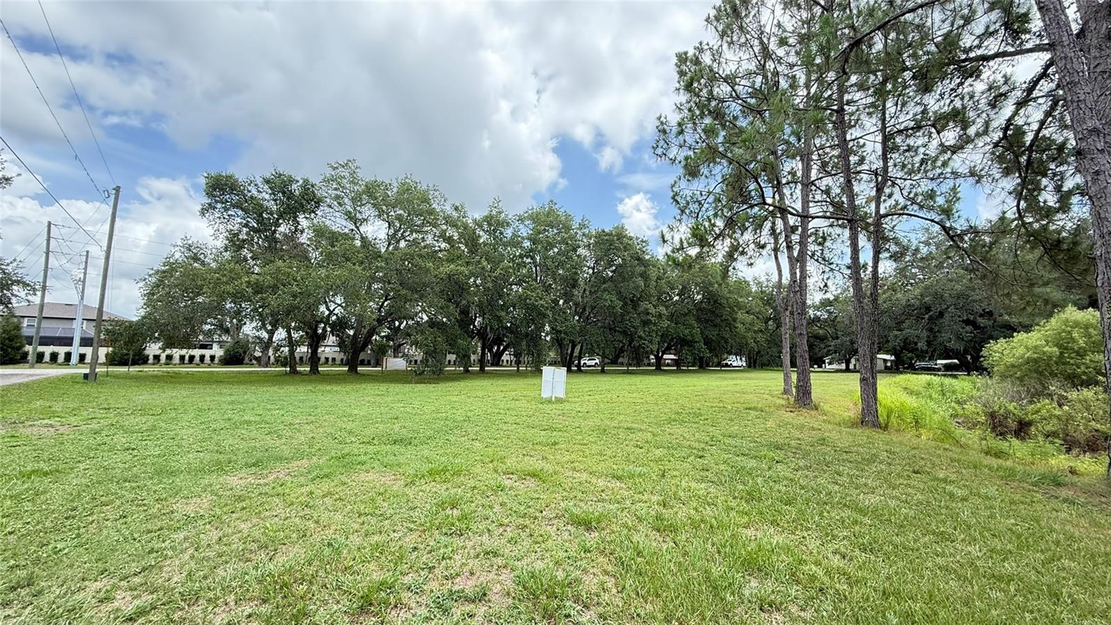 29956 NEW DUTCH LN, WESLEY CHAPEL, FL, 33545