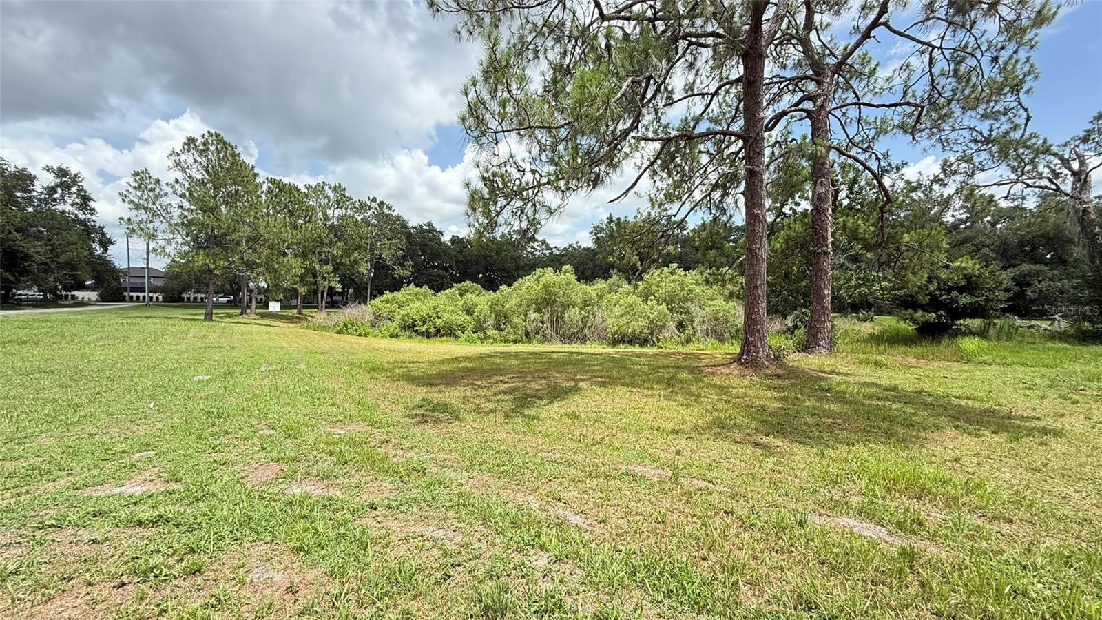 29956 NEW DUTCH LN, WESLEY CHAPEL, FL, 33545