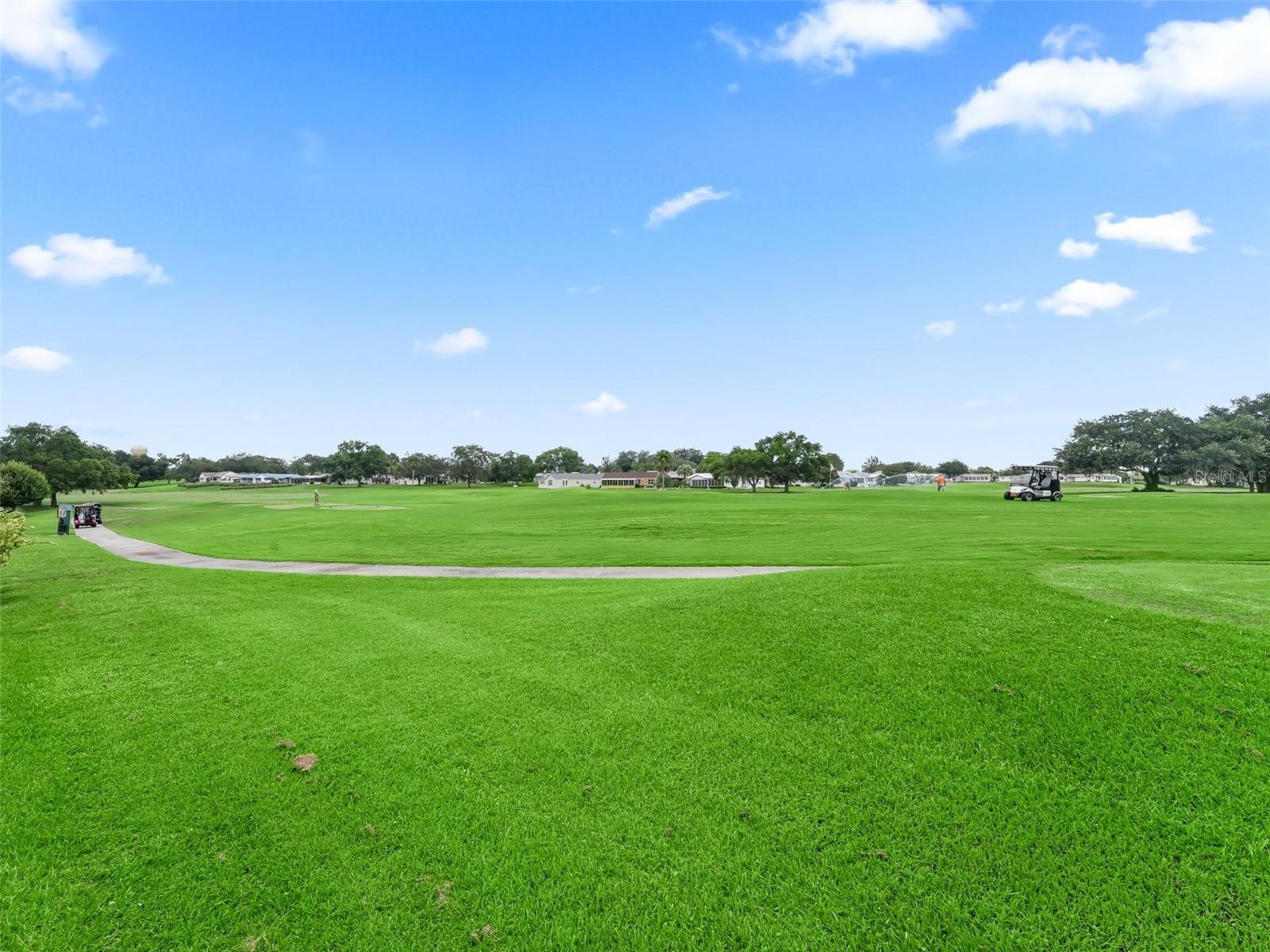 705 HEATHROW AVE, LADY LAKE, FL, 32159