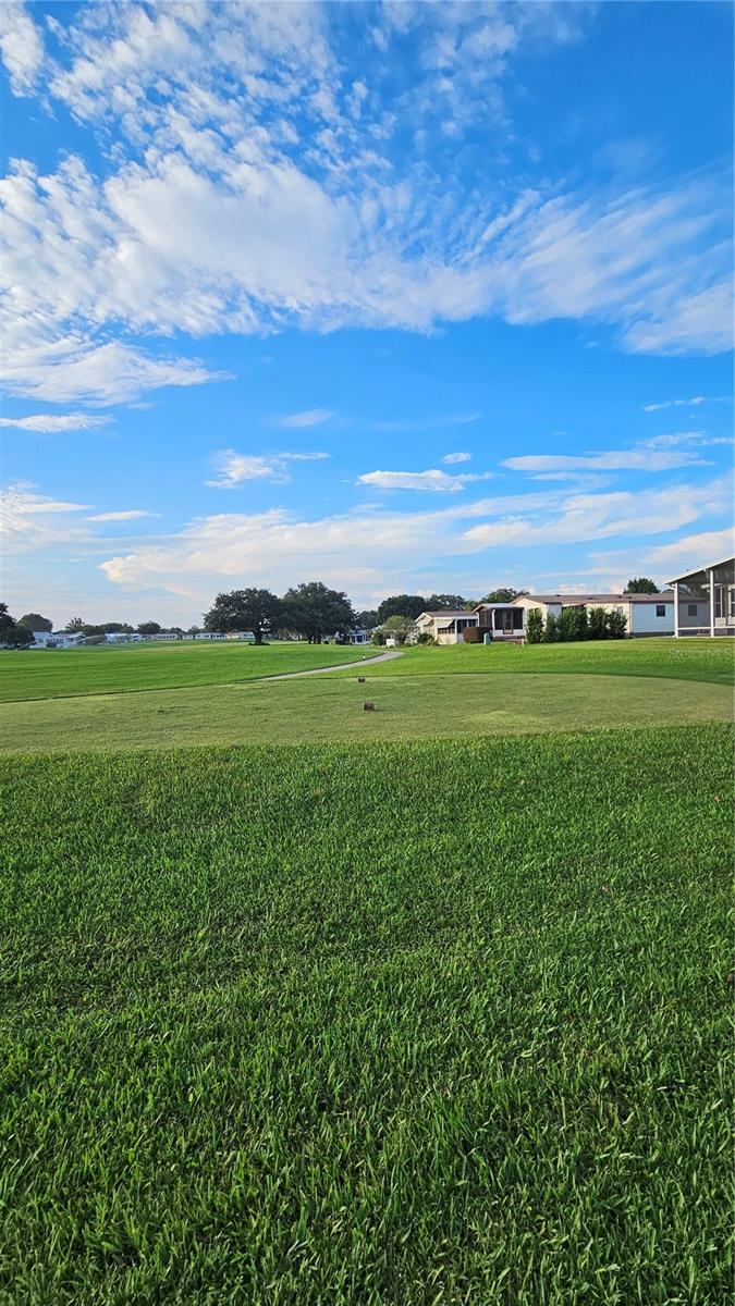 705 HEATHROW AVE, LADY LAKE, FL, 32159