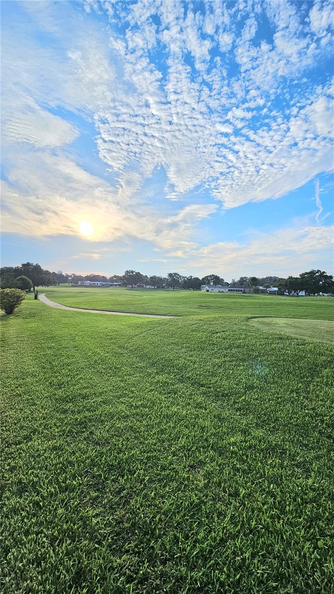 705 HEATHROW AVE, LADY LAKE, FL, 32159