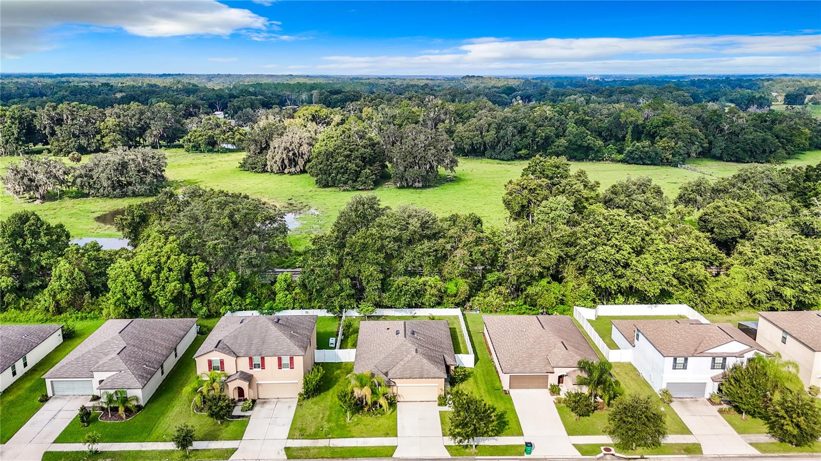 3011 MOULDEN HOLLOW DR, ZEPHYRHILLS, FL, 33540