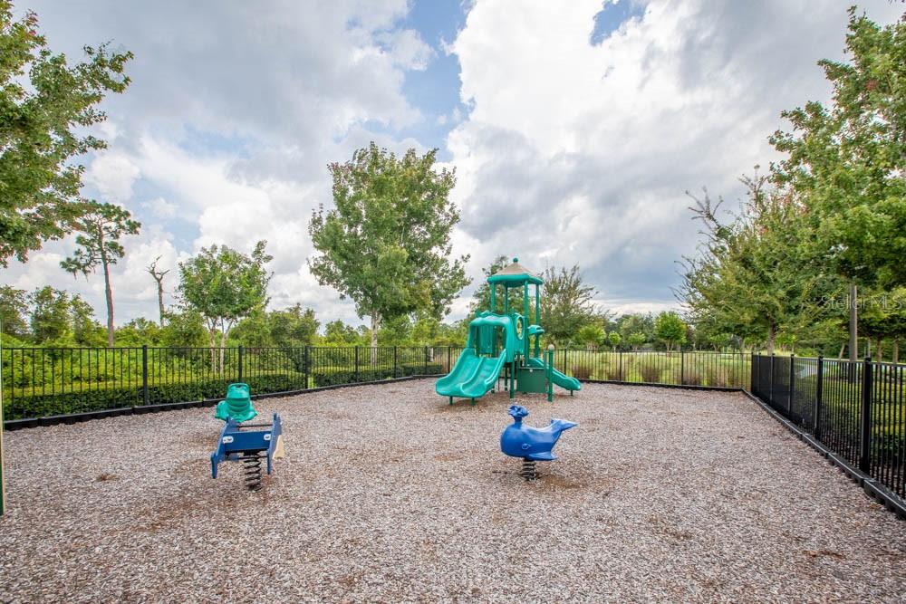 3936 FESCUE ST, CLERMONT, FL, 34714