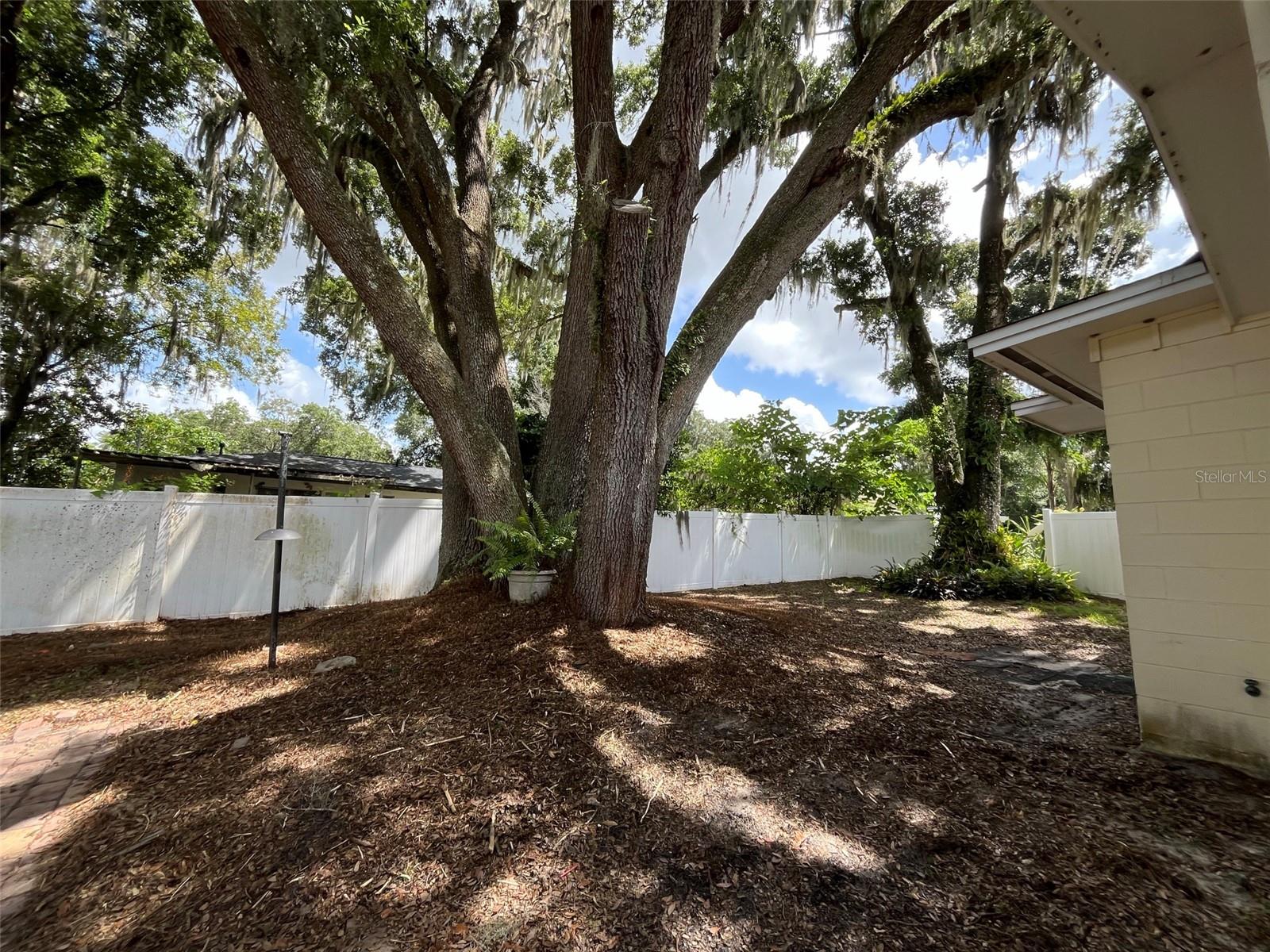 2510 WINONA AVE, LEESBURG, FL, 34748