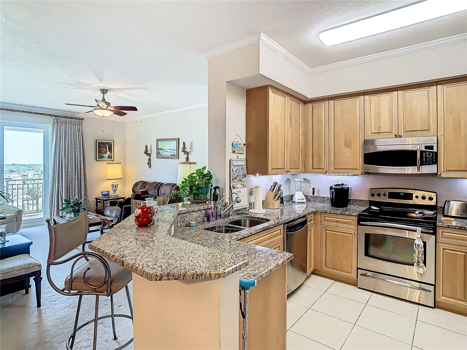 4516 SEAGULL DR #903, NEW PORT RICHEY, FL, 34652