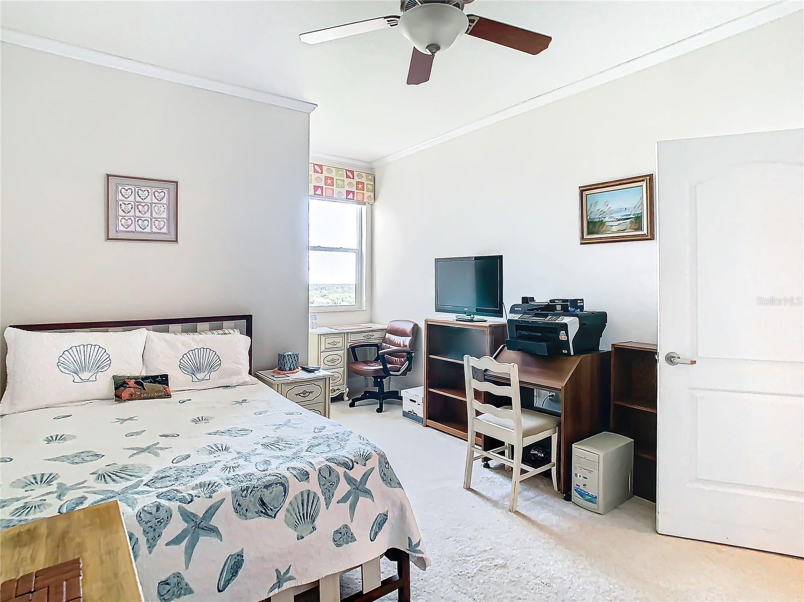 4516 SEAGULL DR #903, NEW PORT RICHEY, FL, 34652