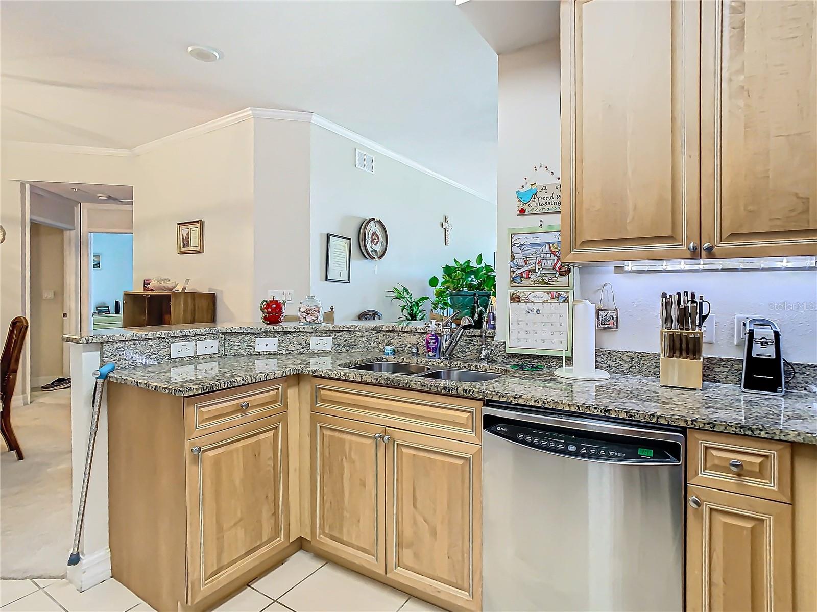 4516 SEAGULL DR #903, NEW PORT RICHEY, FL, 34652