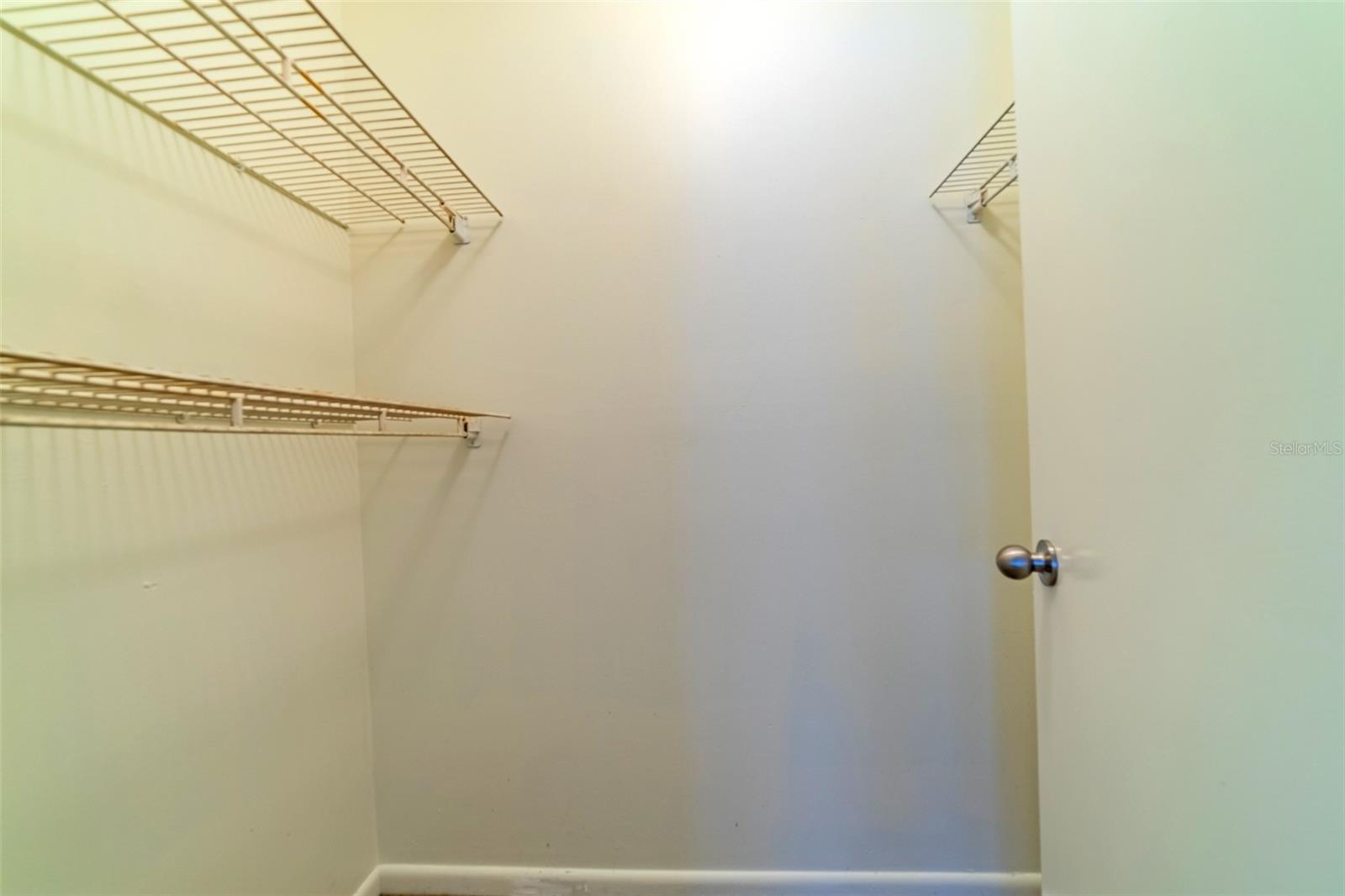 11728 RAINTREE DR, TEMPLE TERRACE, FL, 33617