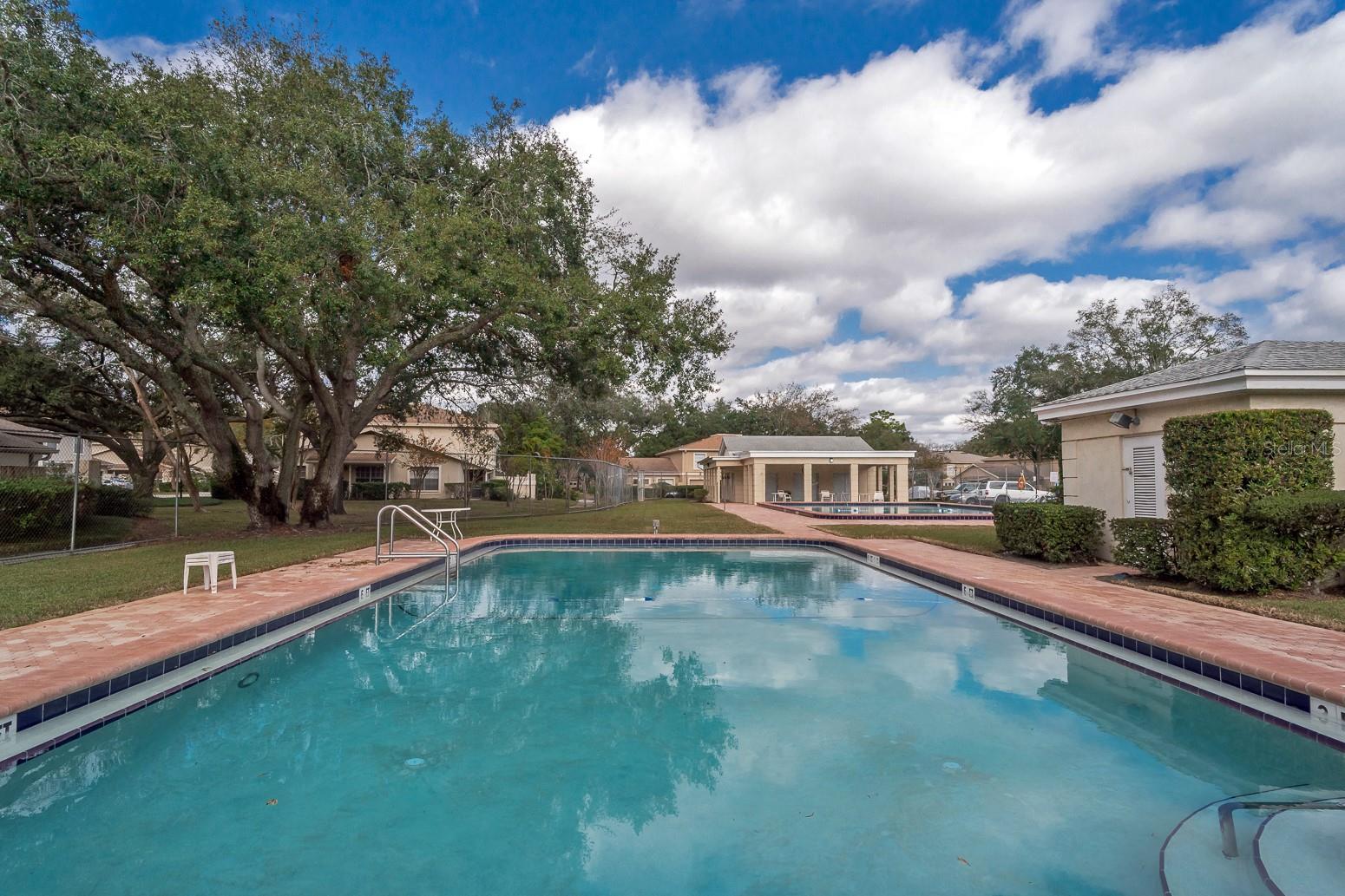 11728 RAINTREE DR, TEMPLE TERRACE, FL, 33617