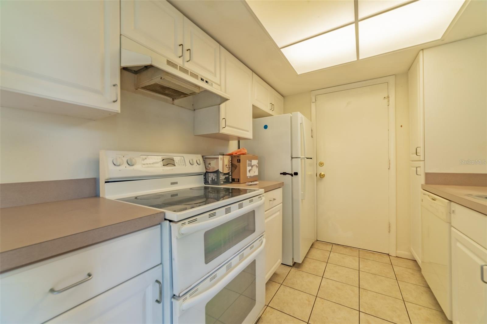 11728 RAINTREE DR, TEMPLE TERRACE, FL, 33617