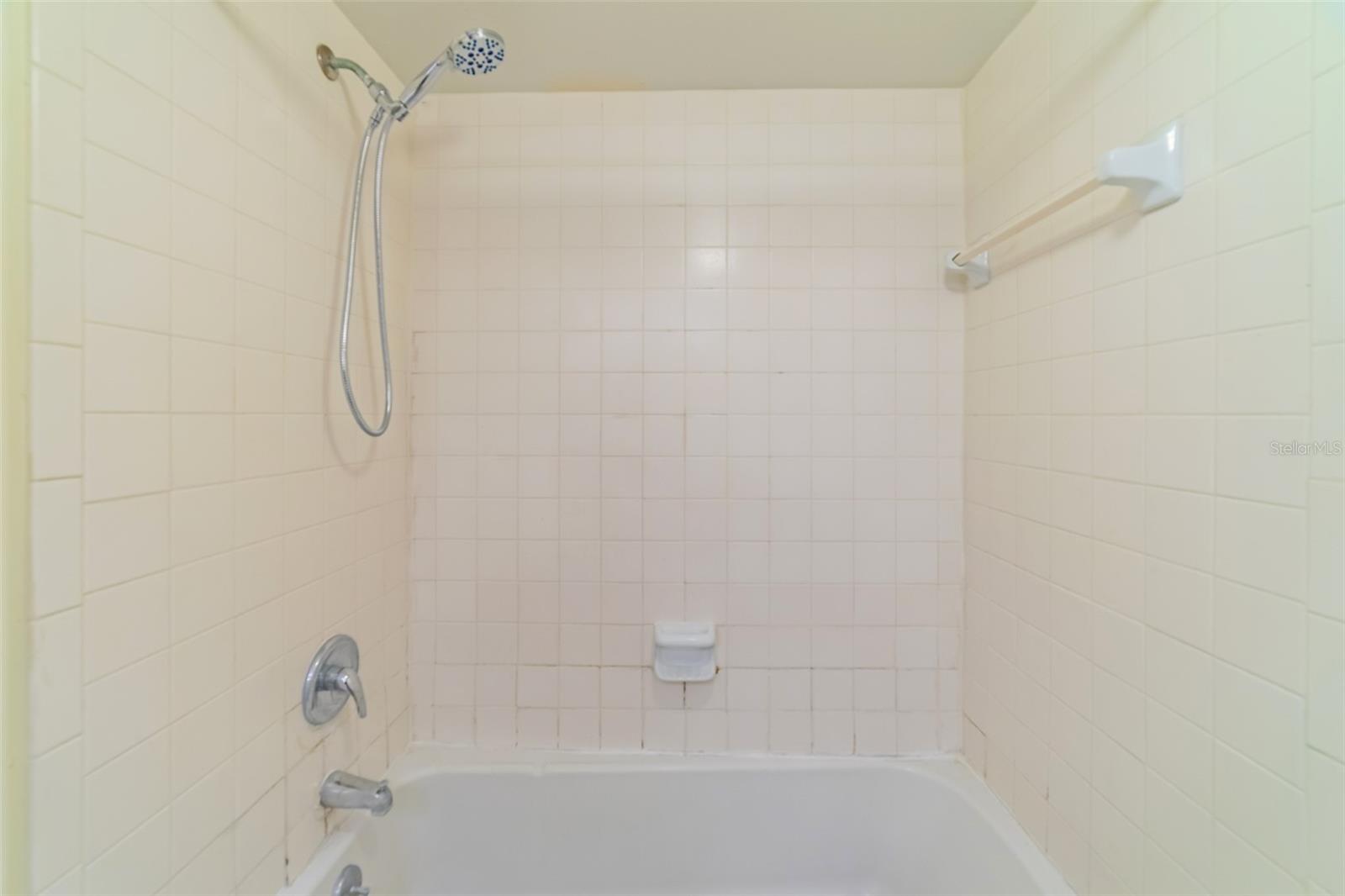 11728 RAINTREE DR, TEMPLE TERRACE, FL, 33617