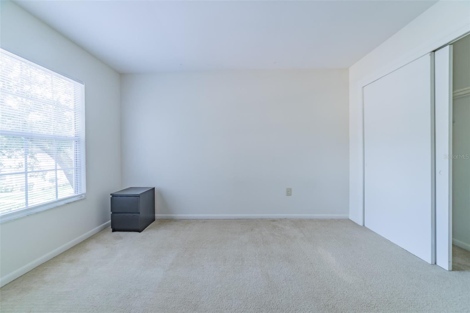 11728 RAINTREE DR, TEMPLE TERRACE, FL, 33617