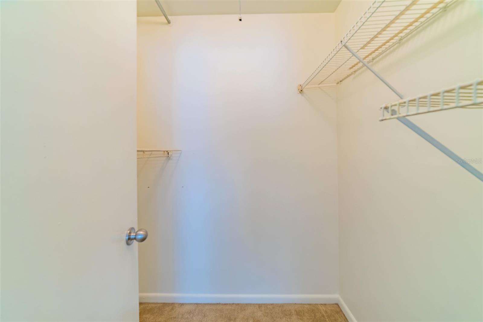 11728 RAINTREE DR, TEMPLE TERRACE, FL, 33617