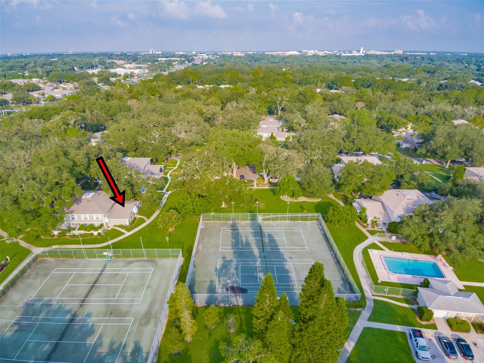 11728 RAINTREE DR, TEMPLE TERRACE, FL, 33617