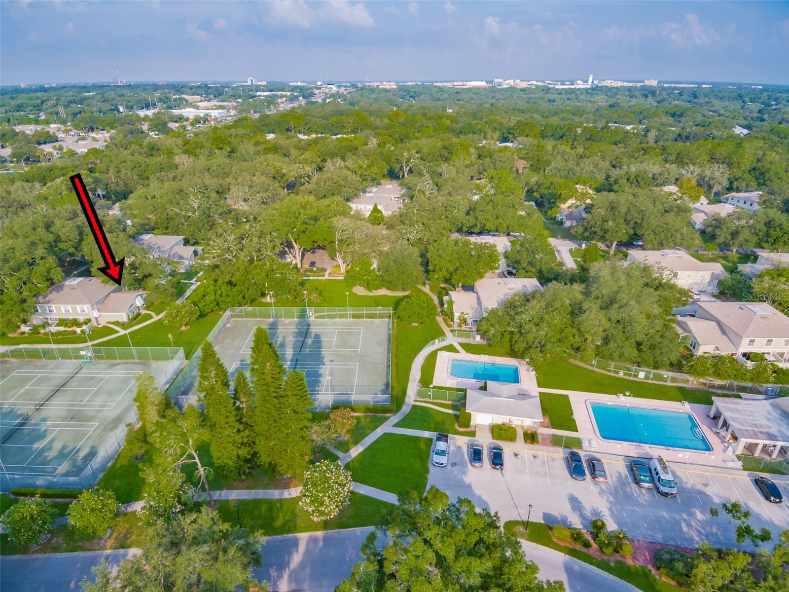 11728 RAINTREE DR, TEMPLE TERRACE, FL, 33617