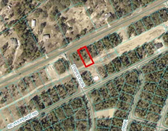 TBD SE 113TH ST, OCKLAWAHA, FL, 32179