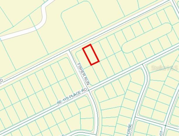 TBD SE 113TH ST, OCKLAWAHA, FL, 32179