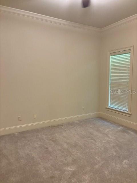 11051 CONISTON WAY, WINDERMERE, FL, 34786