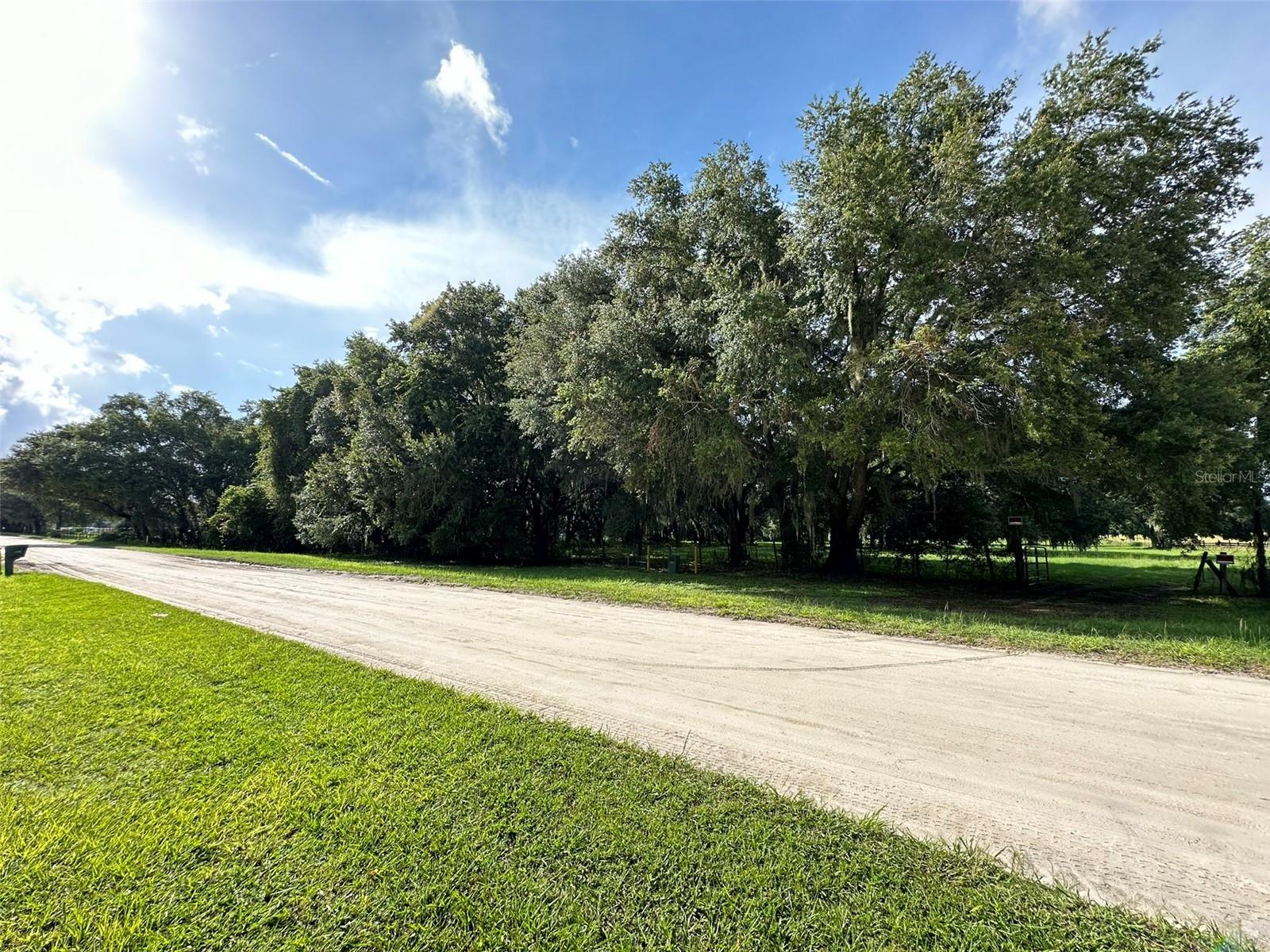 MCKENDREE RD, WESLEY CHAPEL, FL, 33545
