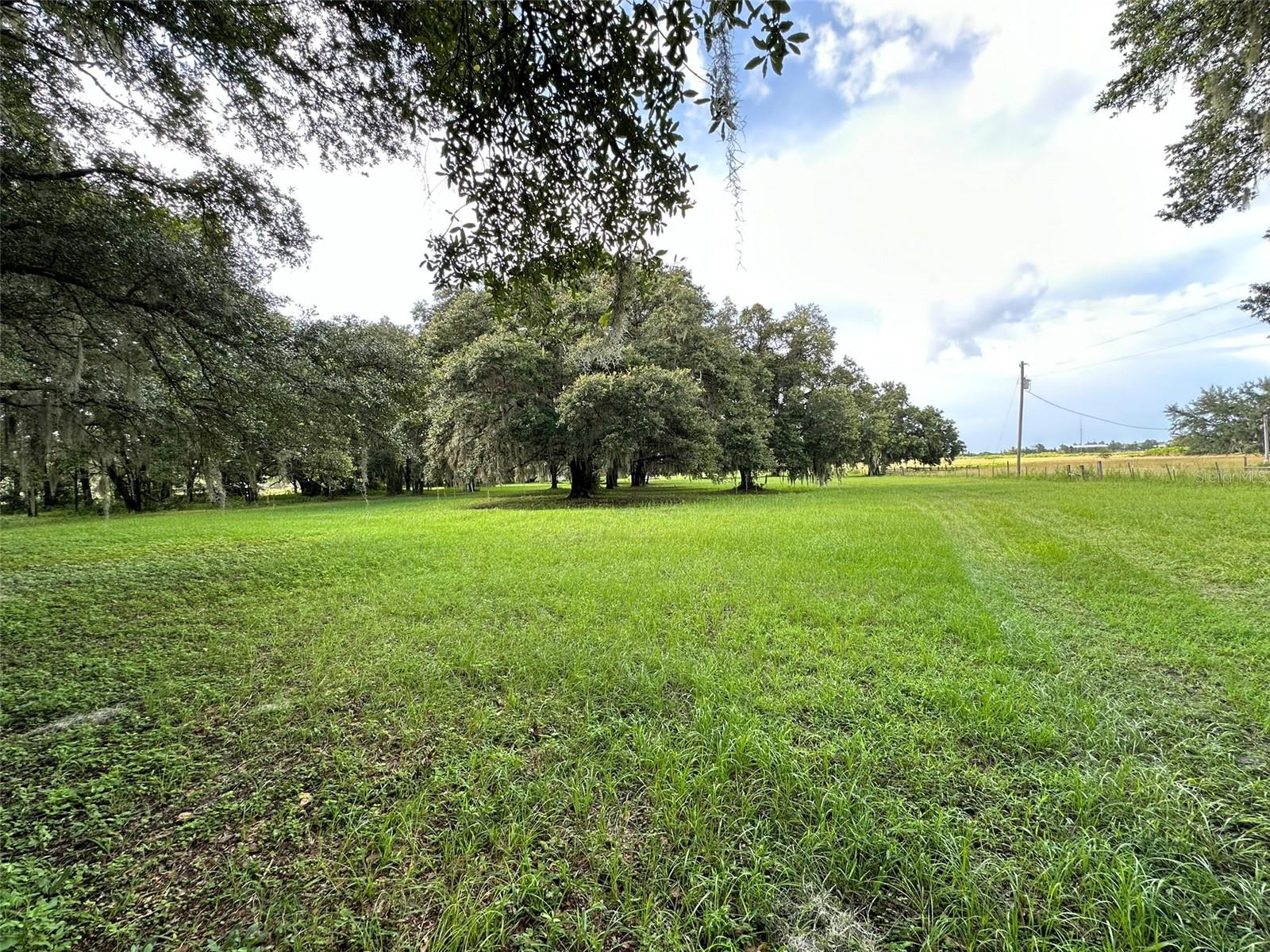 MCKENDREE RD, WESLEY CHAPEL, FL, 33545