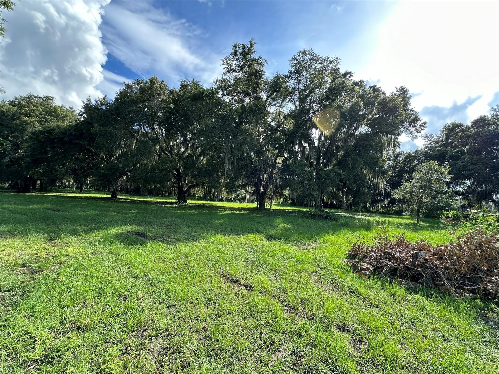 MCKENDREE RD, WESLEY CHAPEL, FL, 33545