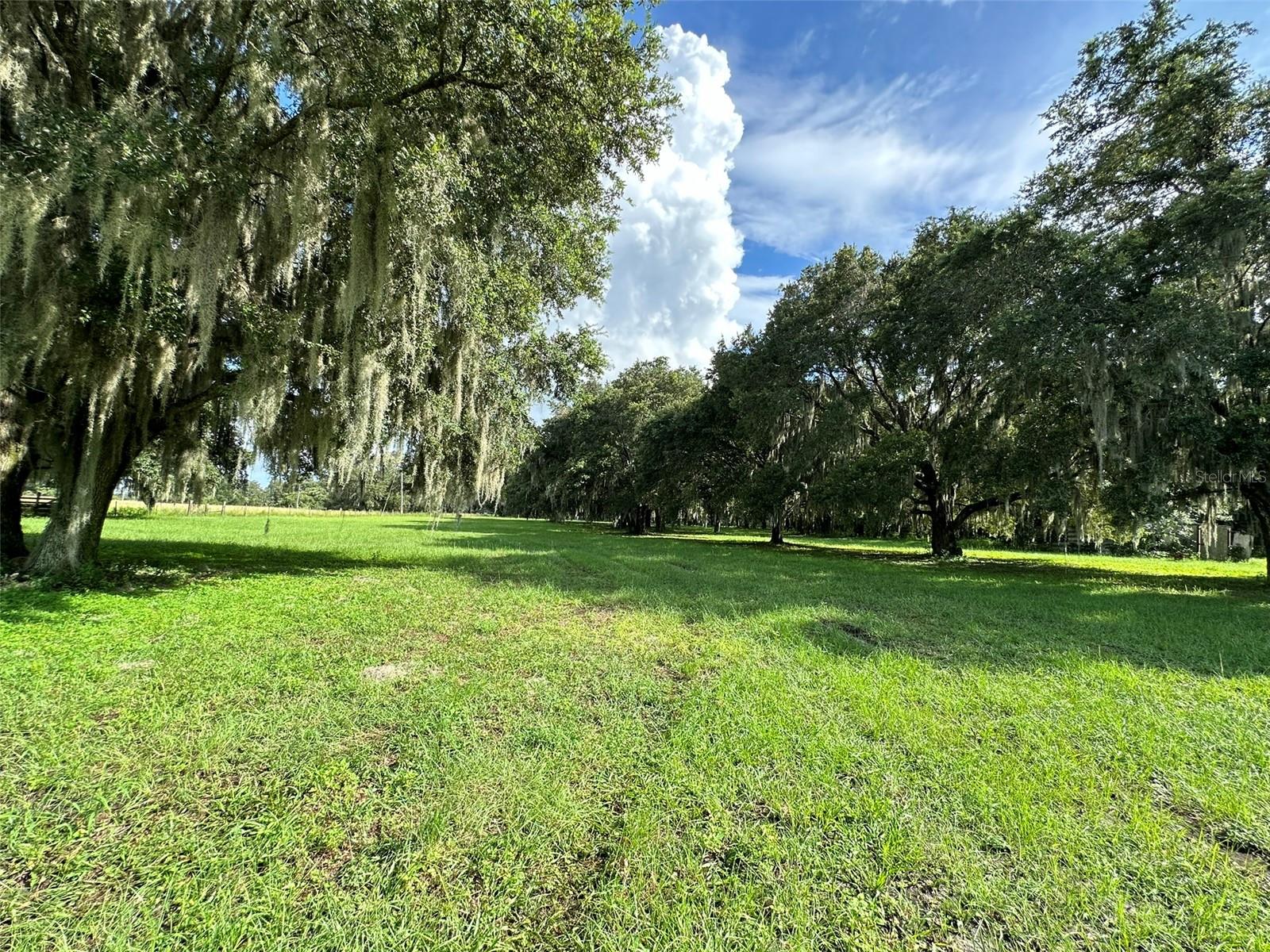 MCKENDREE RD, WESLEY CHAPEL, FL, 33545