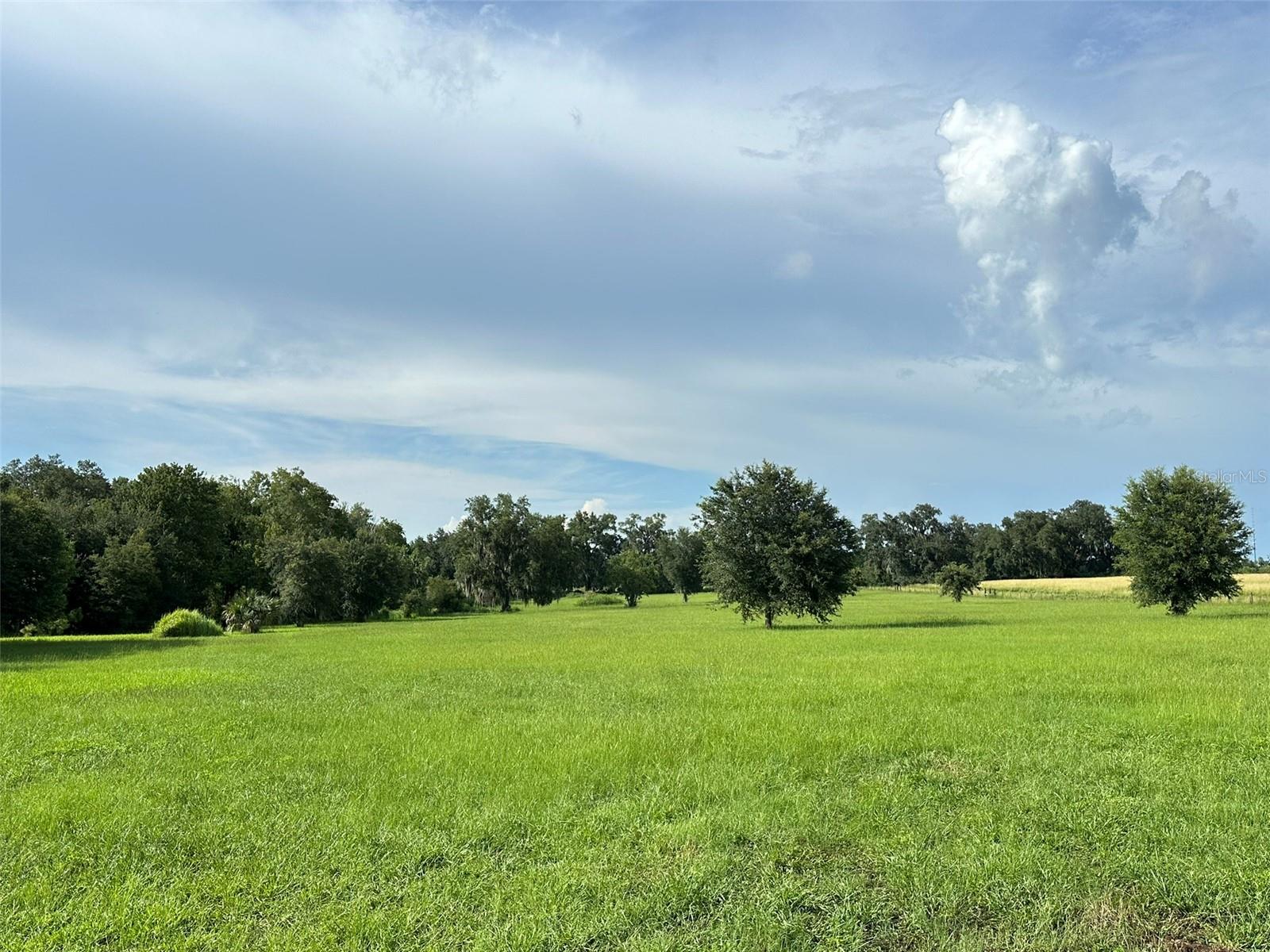 MCKENDREE RD, WESLEY CHAPEL, FL, 33545