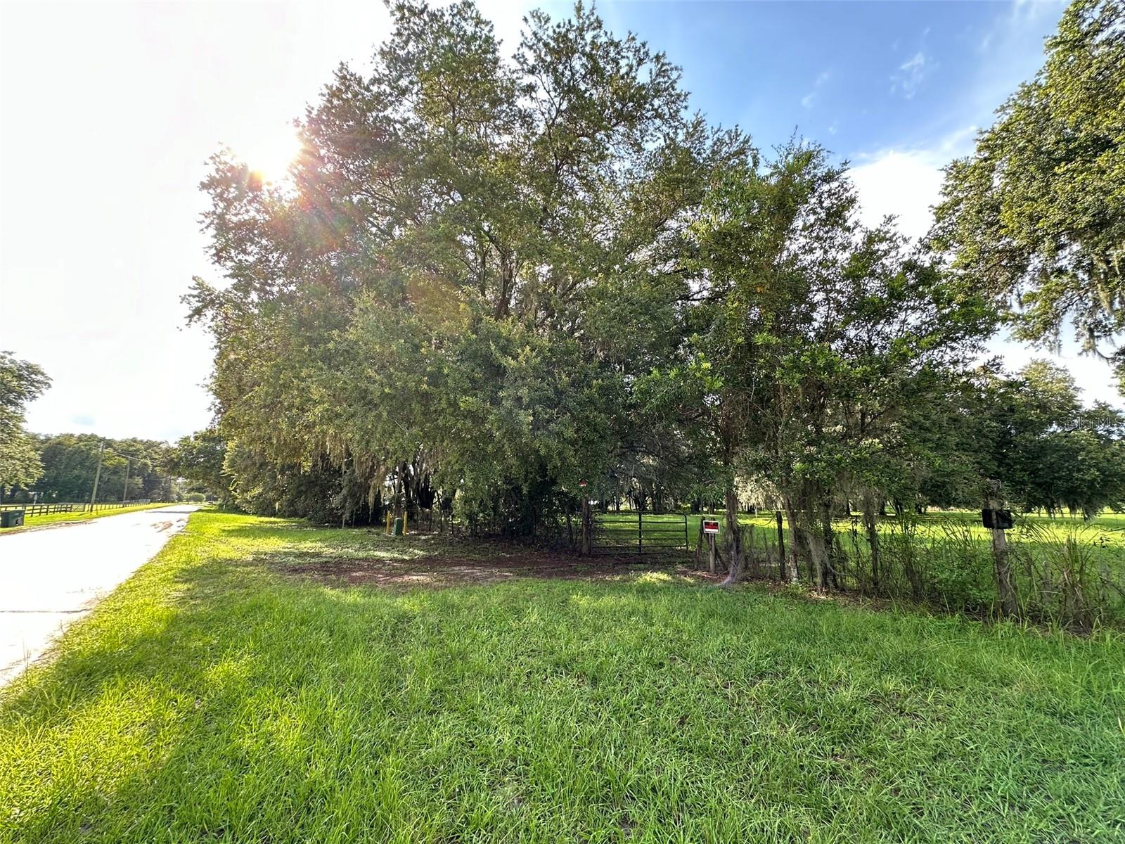 MCKENDREE RD, WESLEY CHAPEL, FL, 33545