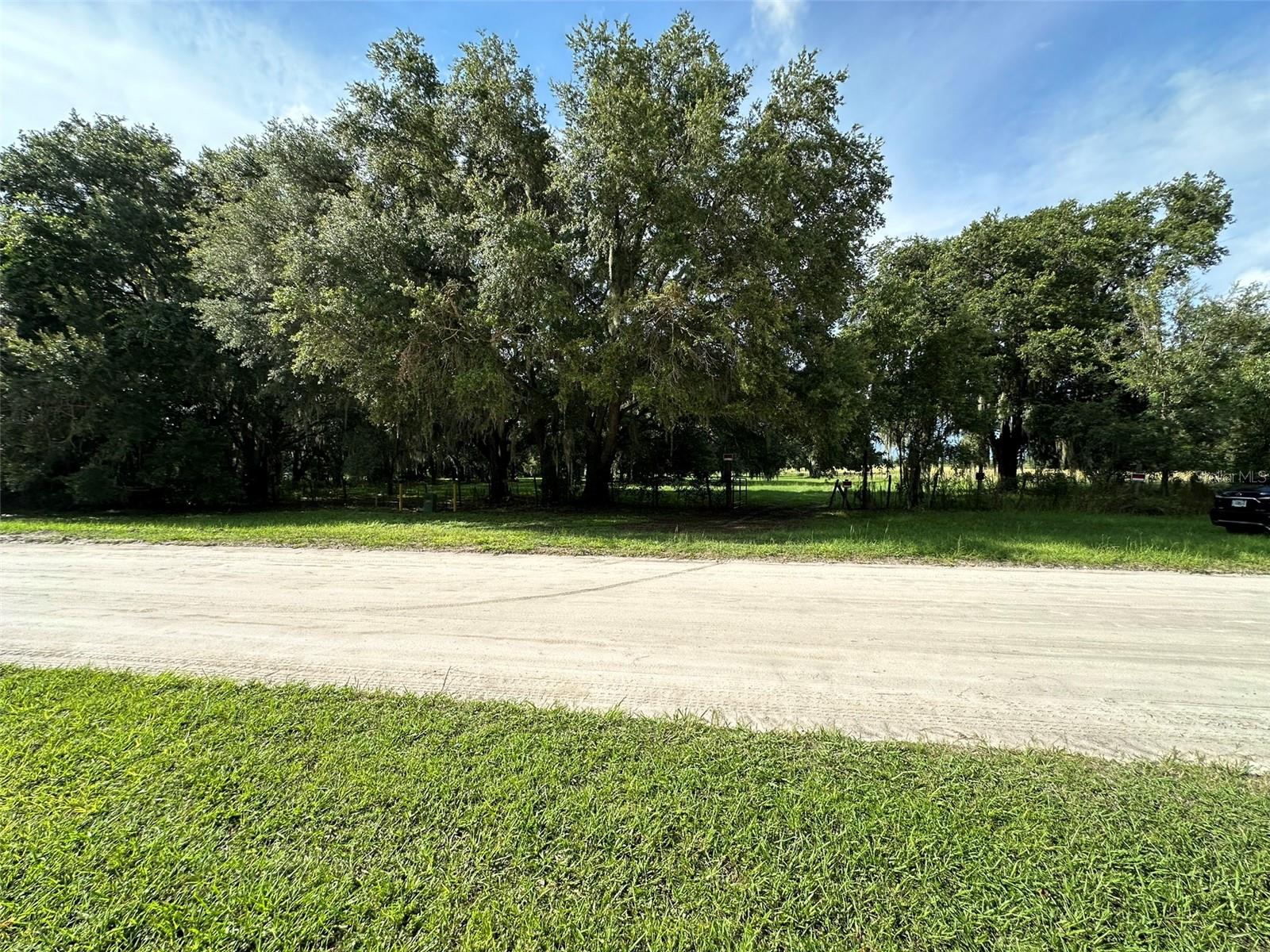 MCKENDREE RD, WESLEY CHAPEL, FL, 33545