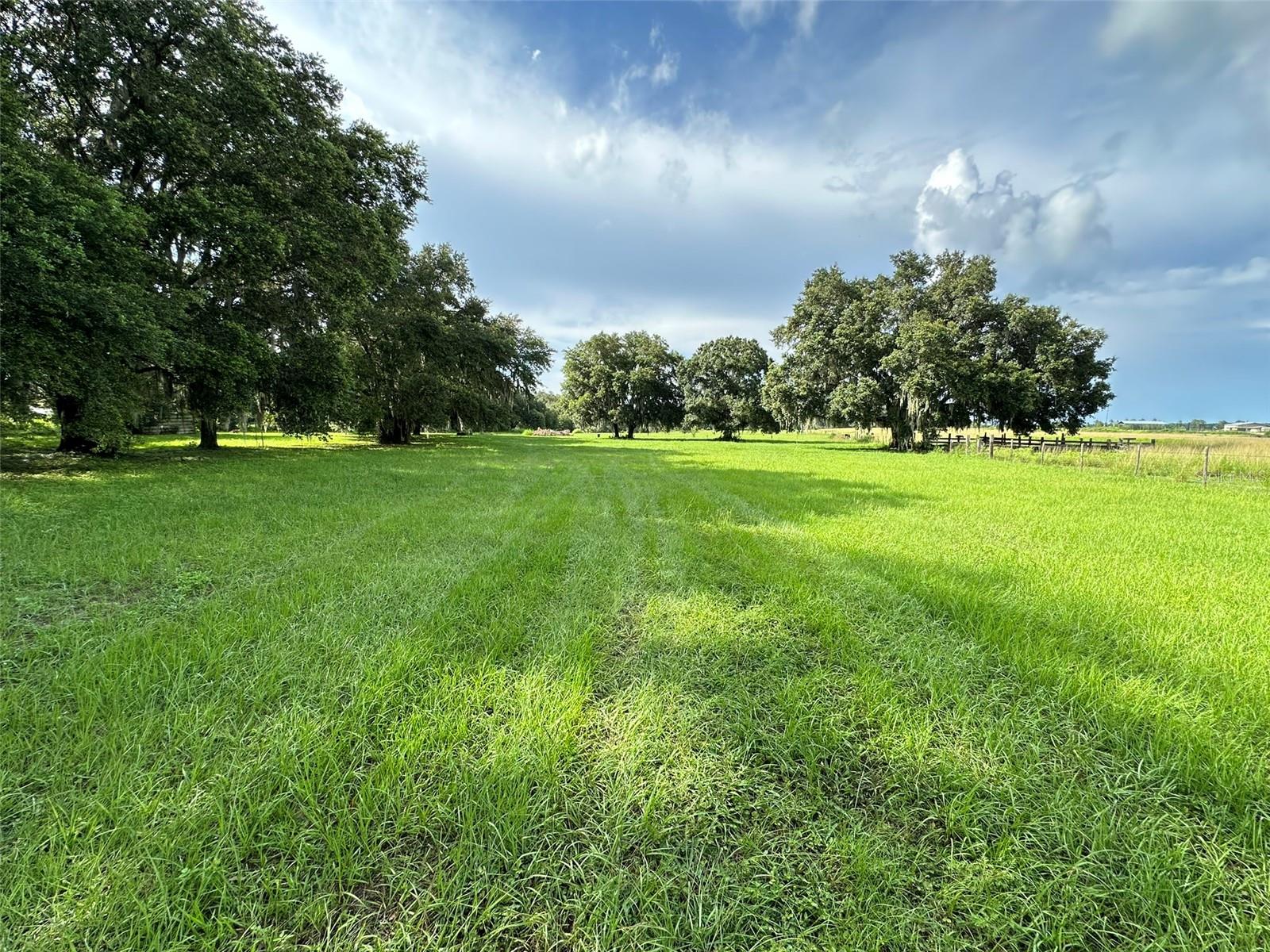 MCKENDREE RD, WESLEY CHAPEL, FL, 33545