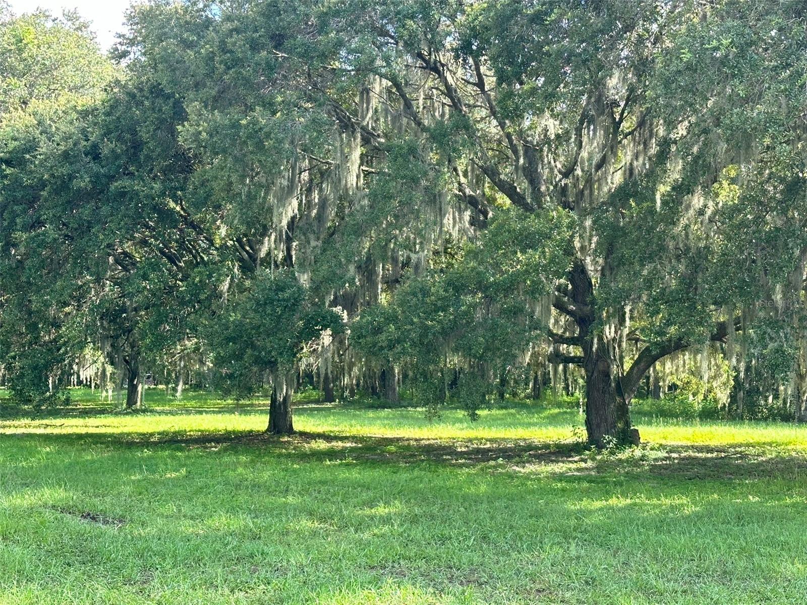MCKENDREE RD, WESLEY CHAPEL, FL, 33545