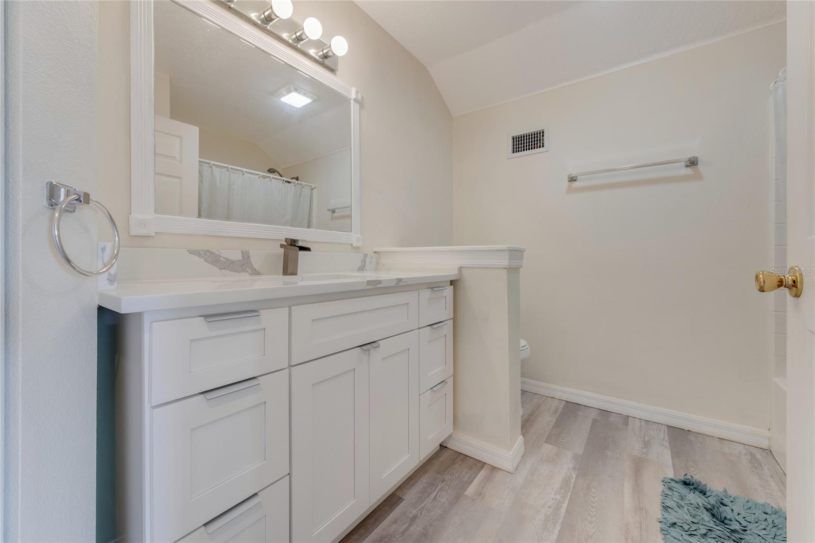 2620 OSCEOLA BLUFF LN, GENEVA, FL, 32732