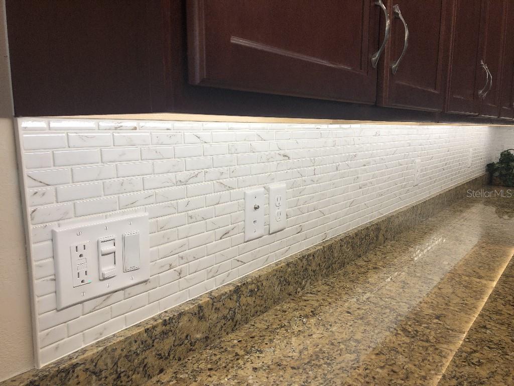 809 CHIPPER DR, SUN CITY CENTER, FL, 33573